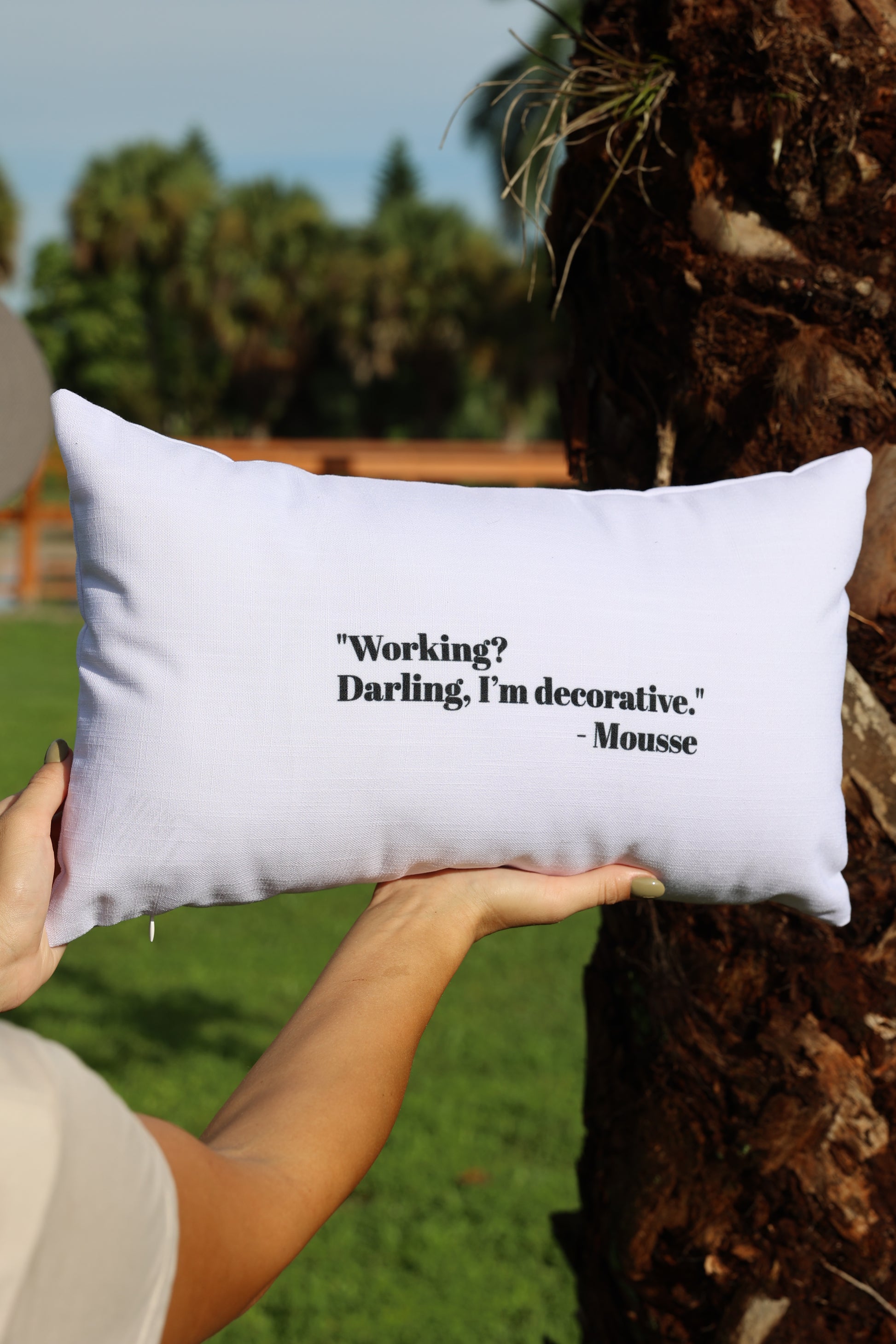 Decorative (and Proud of It) – Premium Equestrian Pillow