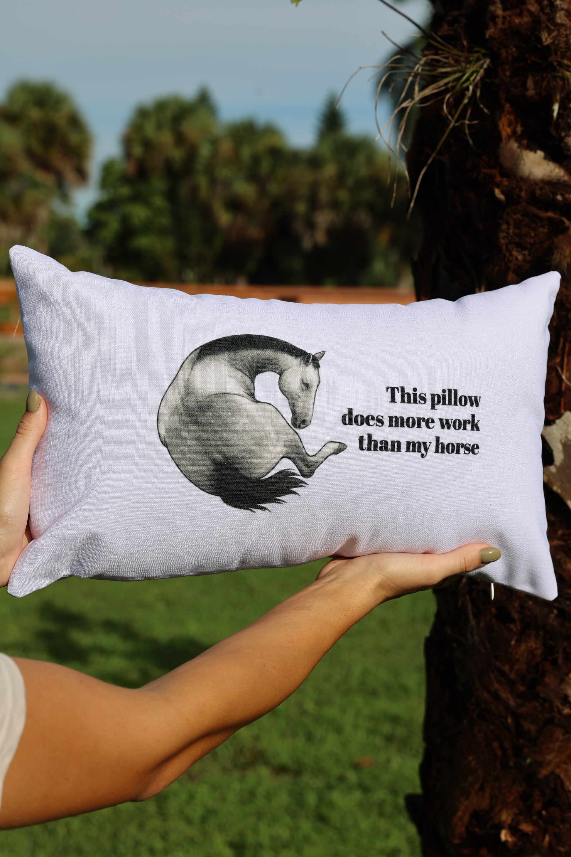 Decorative (and Proud of It) – Premium Equestrian Pillow